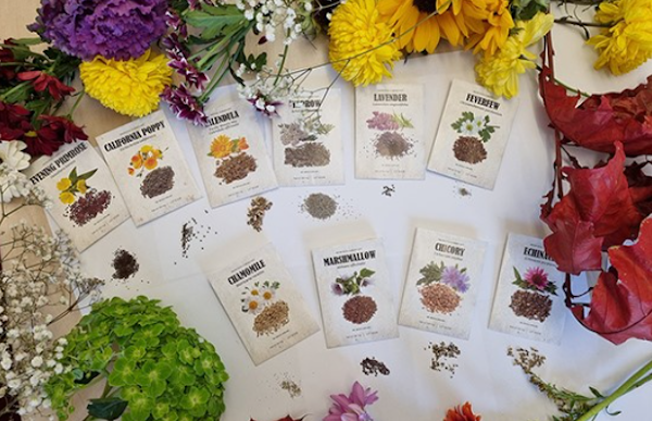 Medicinial Garden Kit: Unlock the Power of Nature for Your Well-being